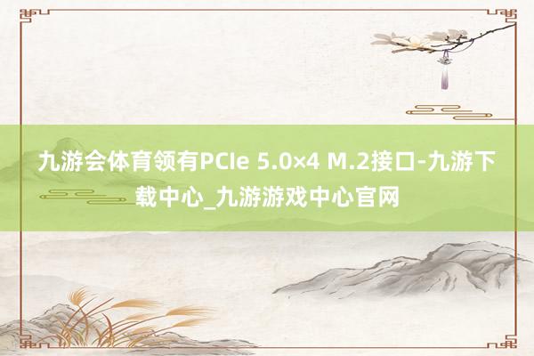 九游会体育领有PCIe 5.0×4 M.2接口-九游下载中心_九游游戏中心官网